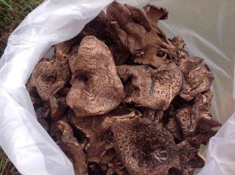 黑虎掌