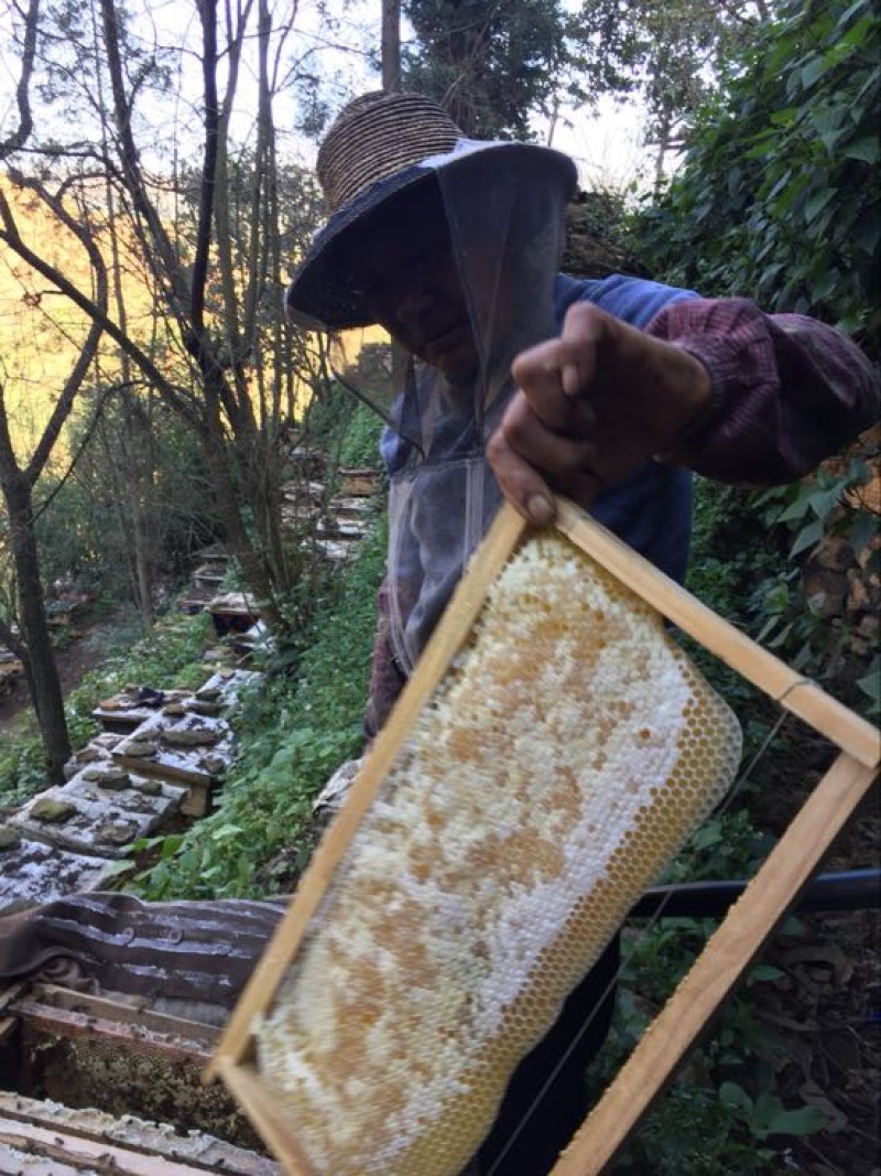 野山花蜂蜜2斤
