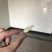 红果果桑桑树苗嫁接苗包对版