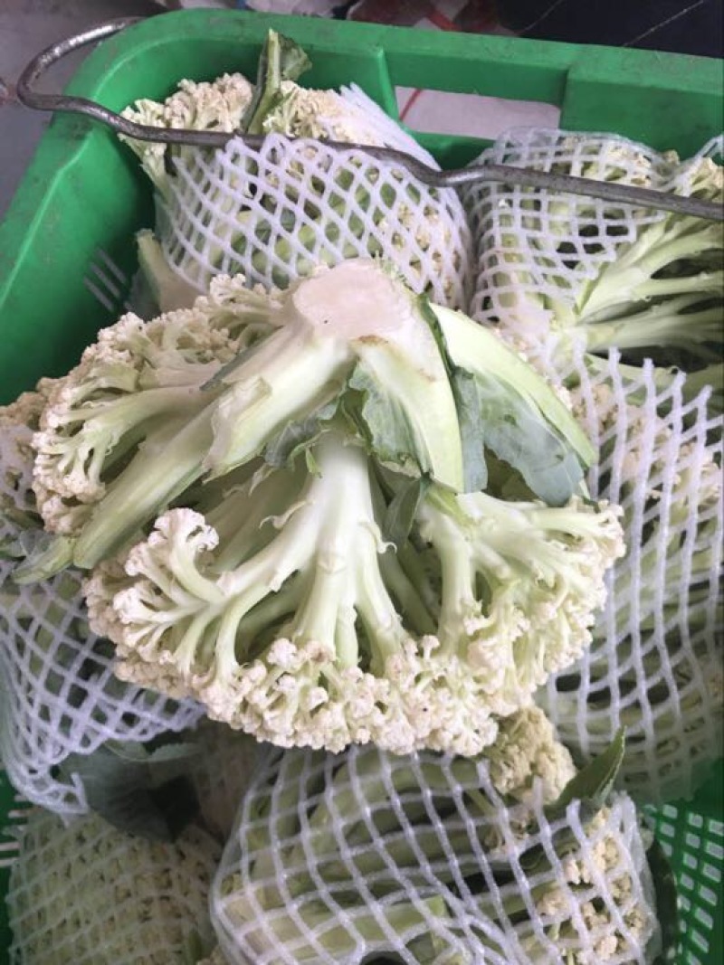 菜花青梗散花