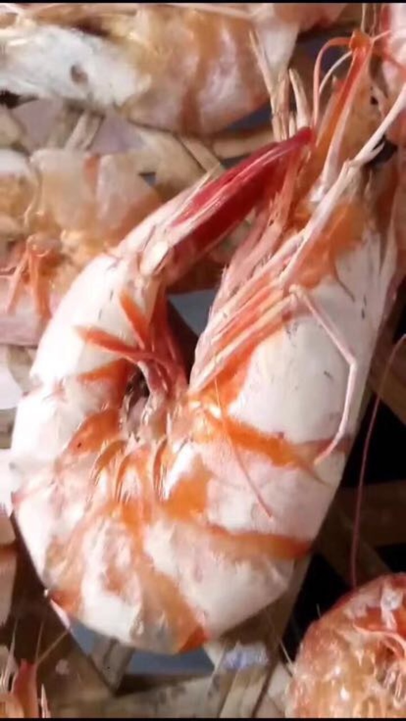 干虾