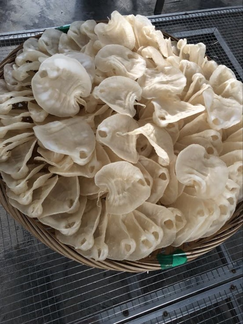 花胶大