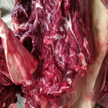 驴肉冻货