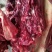 驴肉冻货