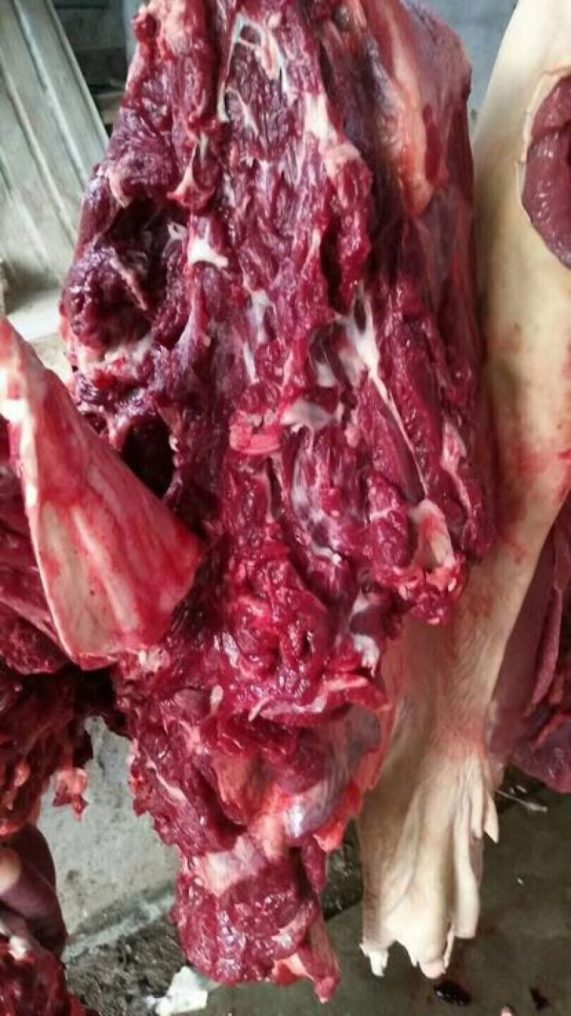 驴肉冻货