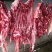 驴肉冻货