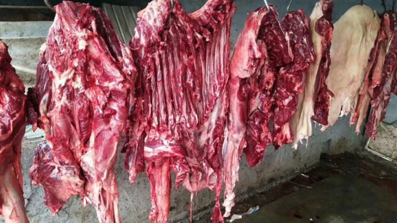 驴肉冻货