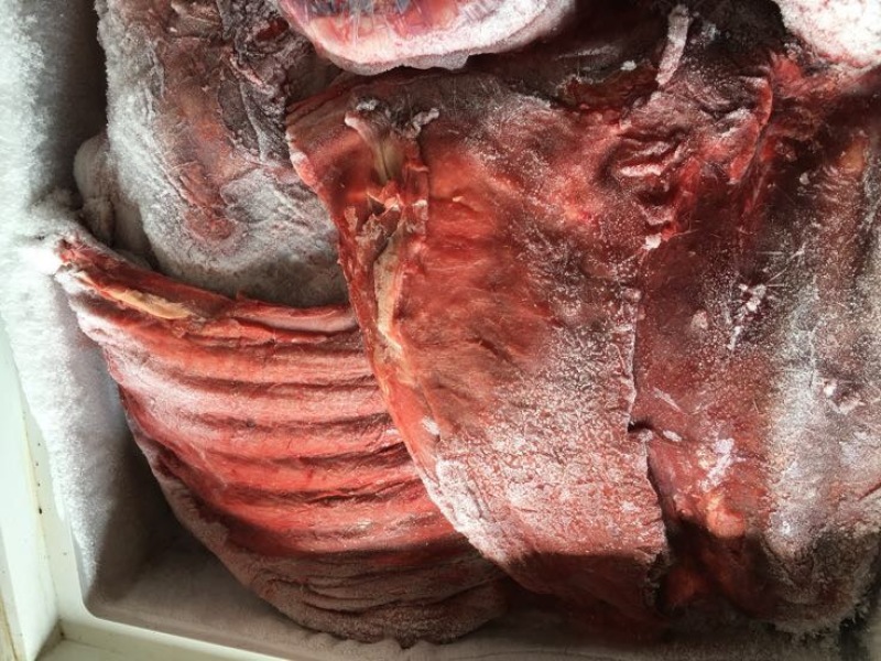 驴肉冻货