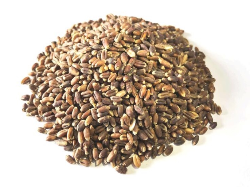 麦仁12.5%以下