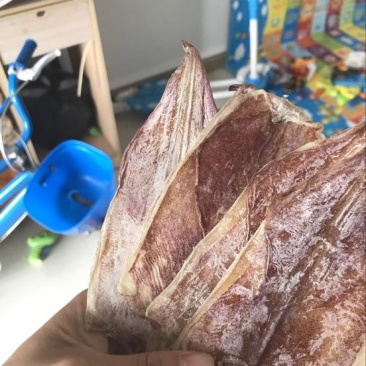 鱿鱼食用鲜活