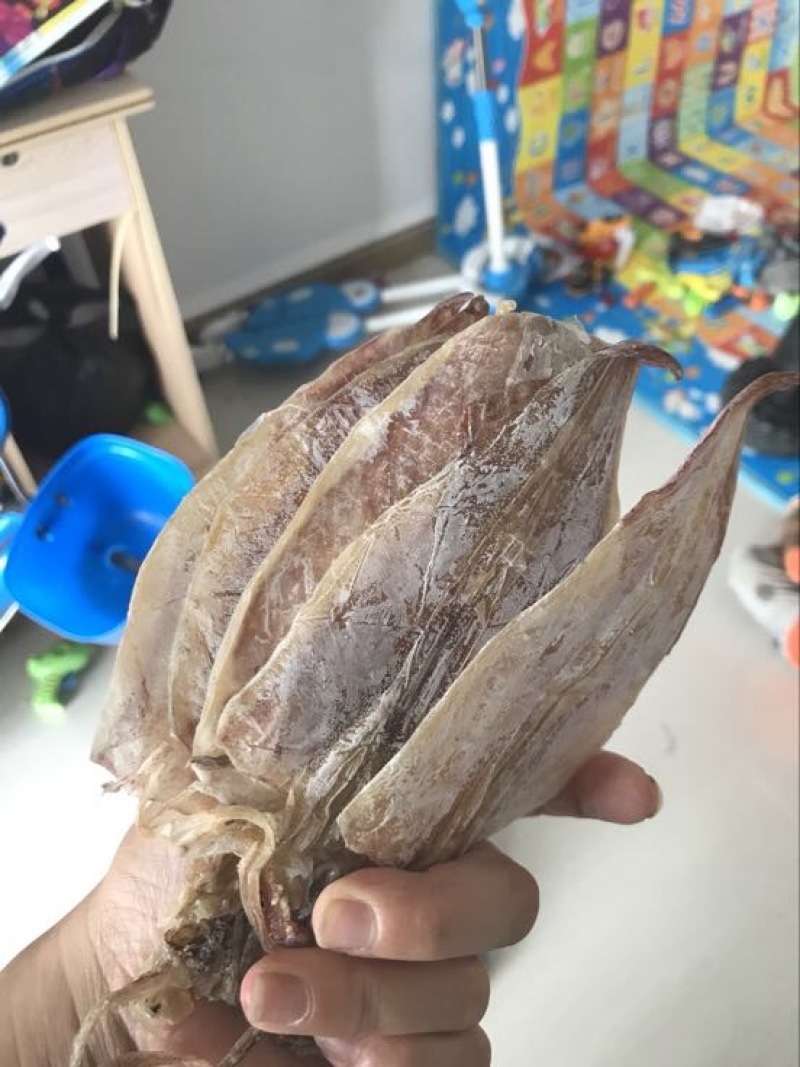 鱿鱼食用鲜活