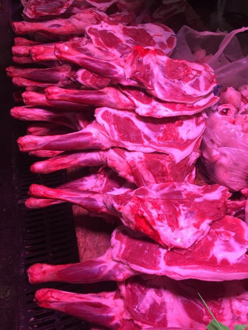 鲜羔羊肉绵羊肉前腿带骨，去骨前腿，，
