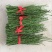 橘之尤物甘平枝条10~20cm