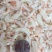 虾皮特级