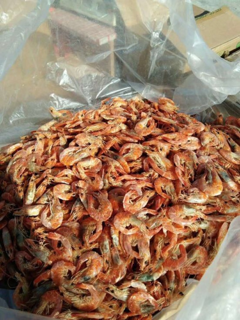 南美白对虾冻虾