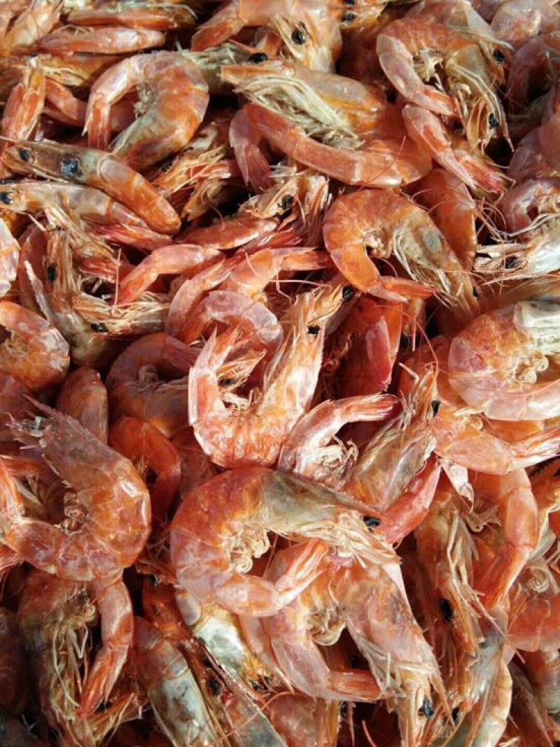 南美白对虾冻虾