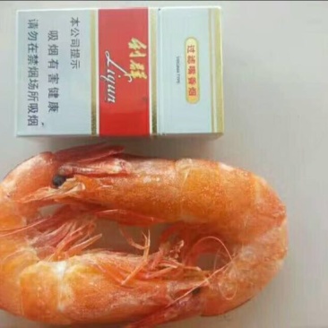 南美白对虾冻虾
