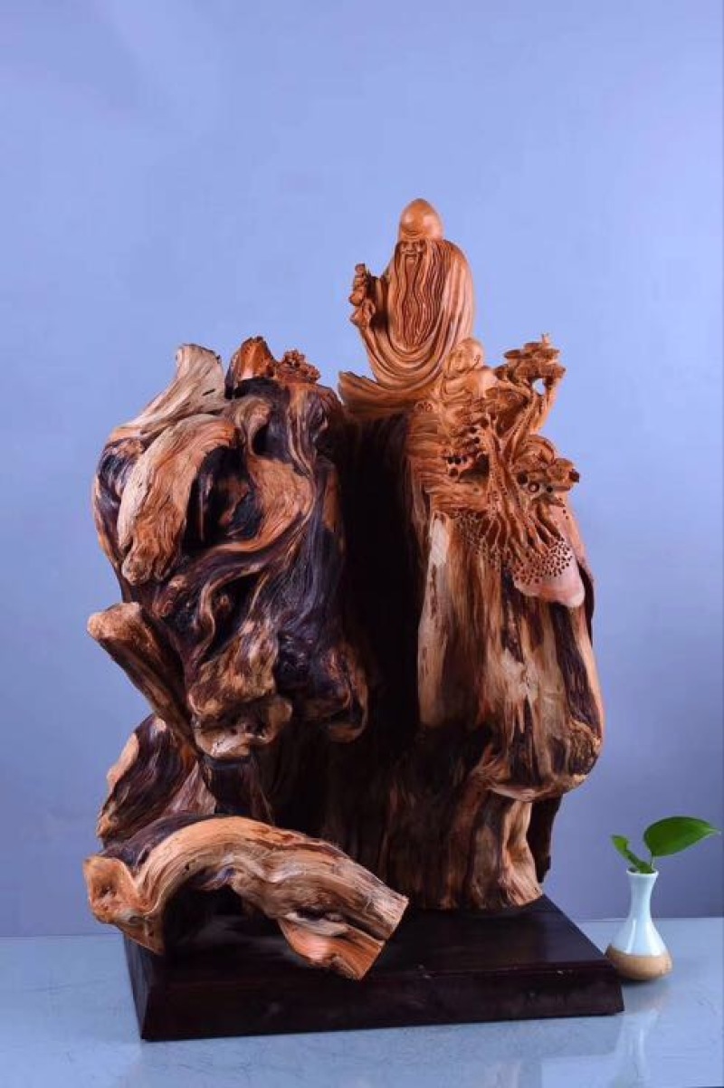 太行崖柏14~16cm0.5米以下