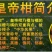 皇帝柑苗50~80cm