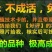 皇帝柑苗50~80cm