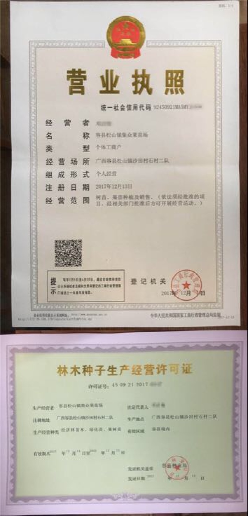 紫香1号百香果苗10cm以下