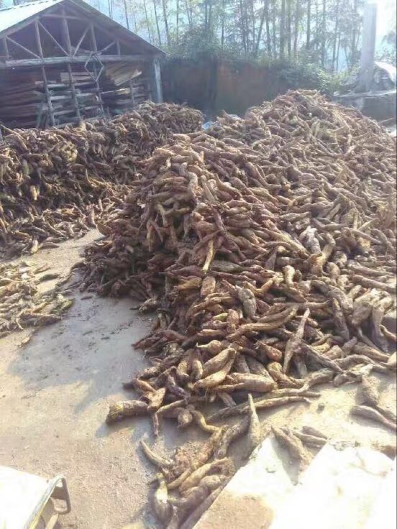 葛根粉九华野生葛根粉