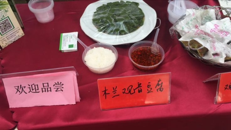 豆腐树苗80~100cm