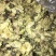药用菊花袋装