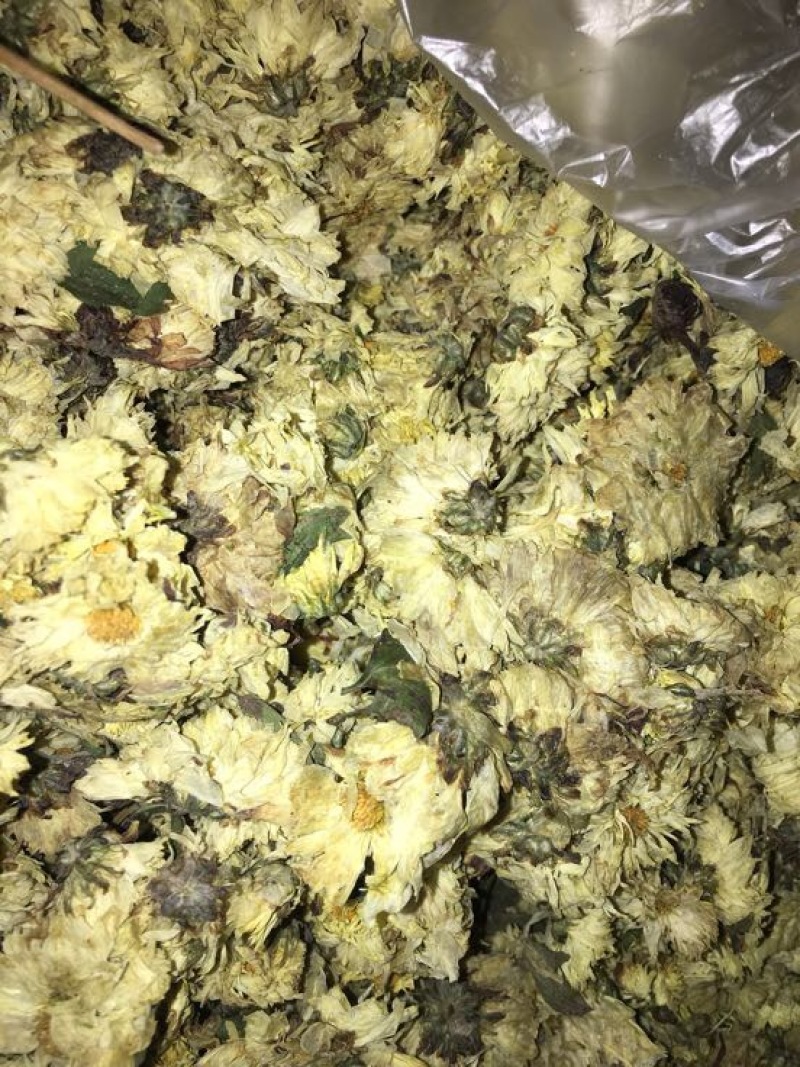 药用菊花袋装