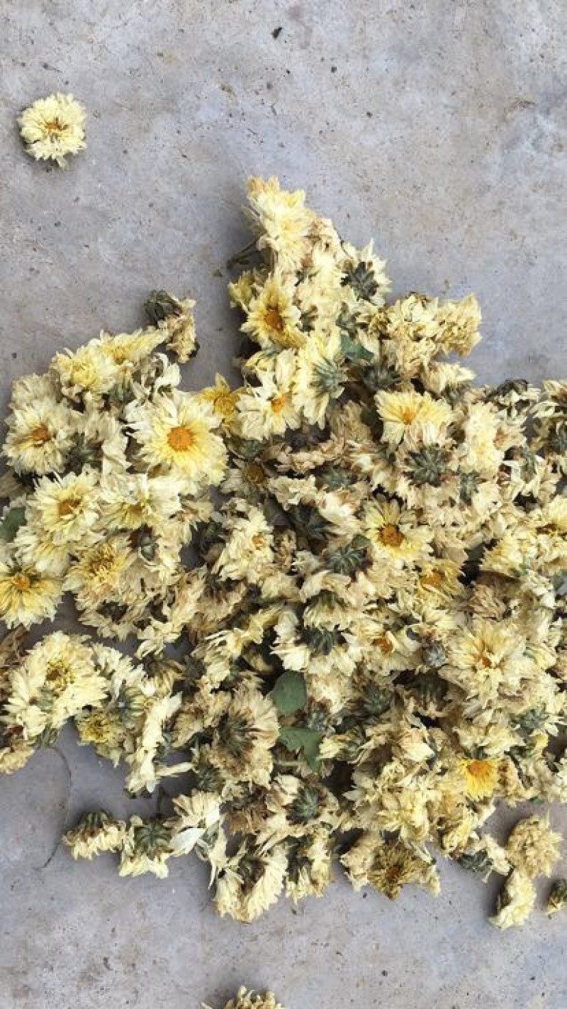 药用菊花袋装