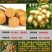 黄皮果苗50~80cmcm
