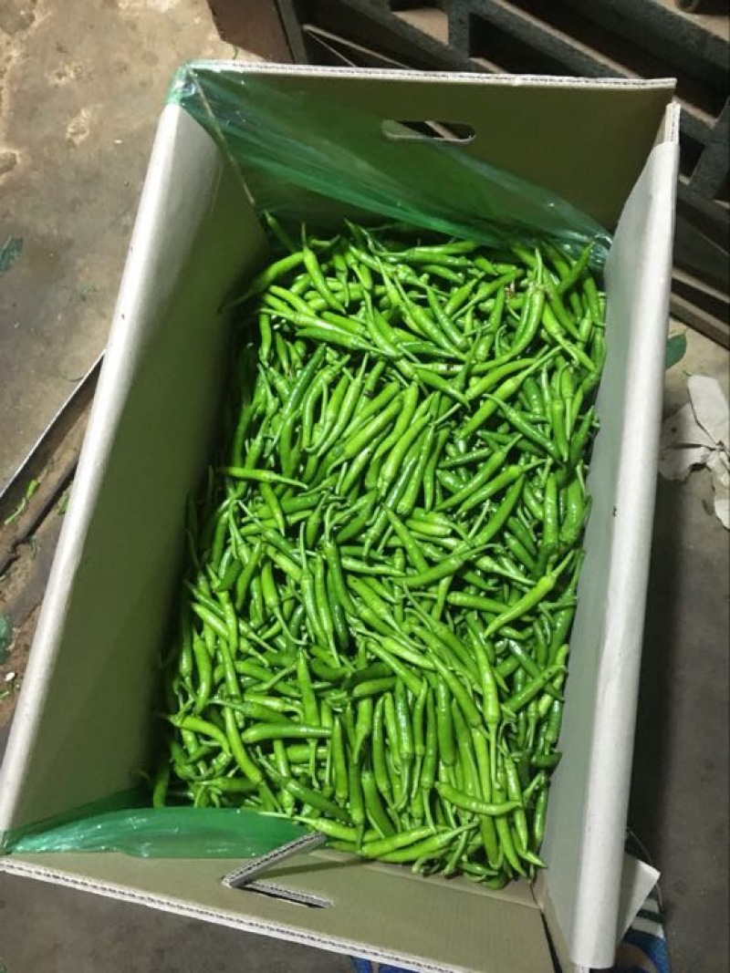 鸡爪椒
