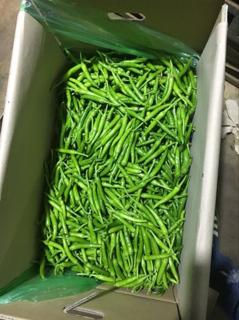 鸡爪椒