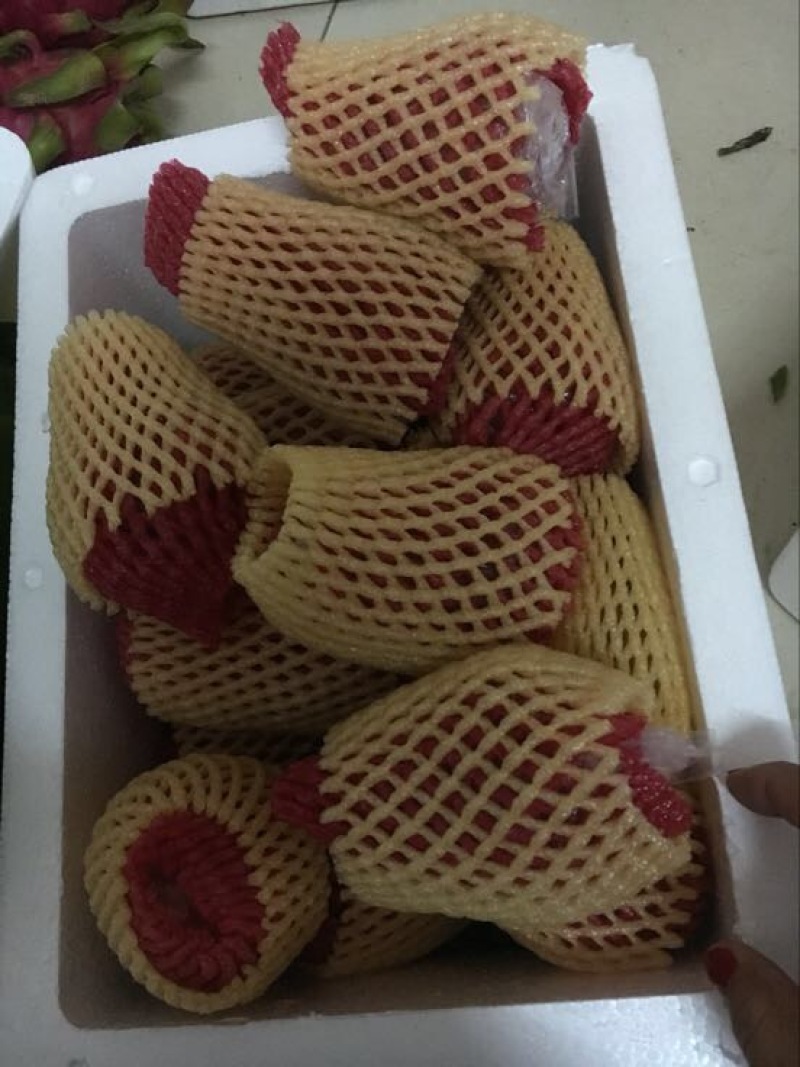 越南莲雾9~11厘米