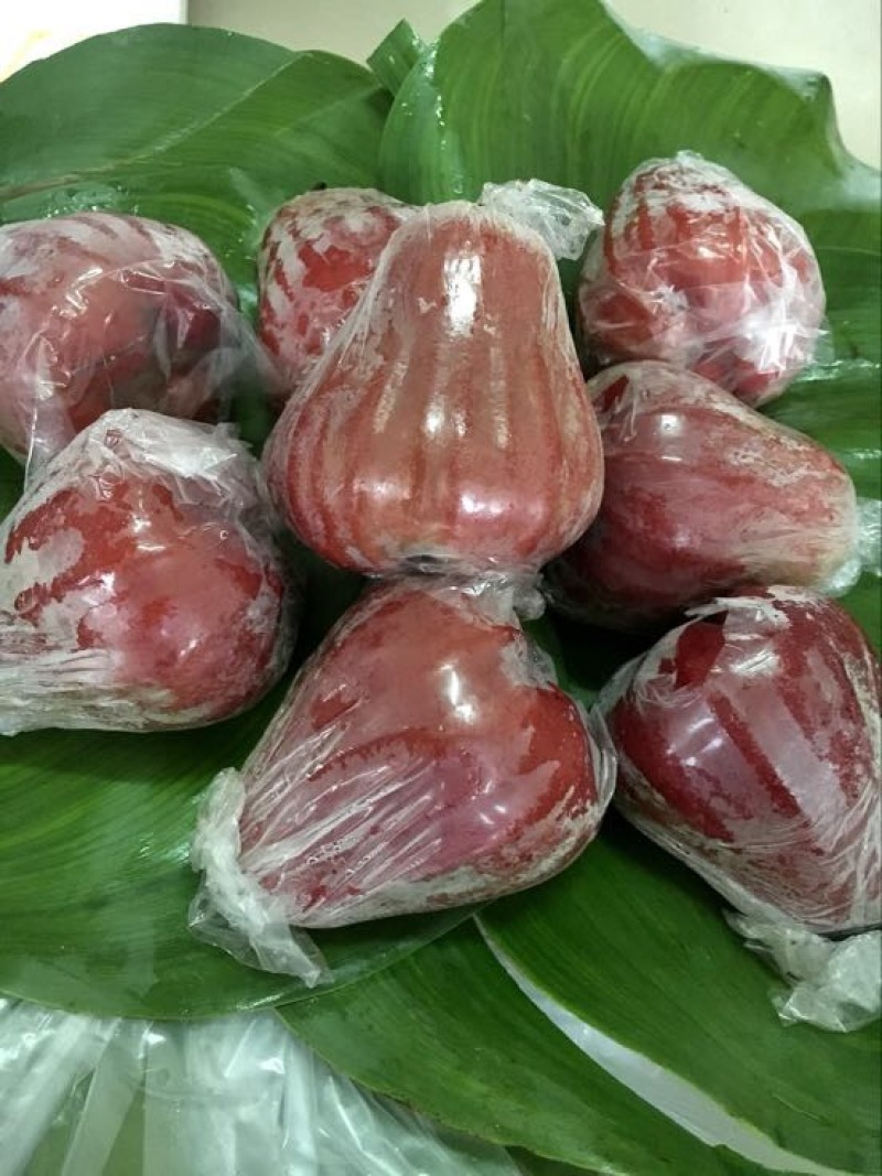 越南莲雾9~11厘米