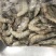 南美白对虾食用冻虾