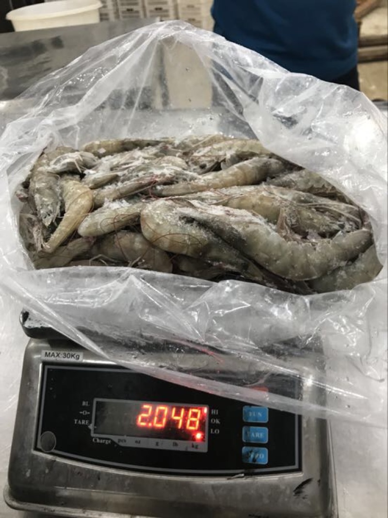 南美白对虾食用冻虾