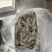 南美白对虾食用冻虾