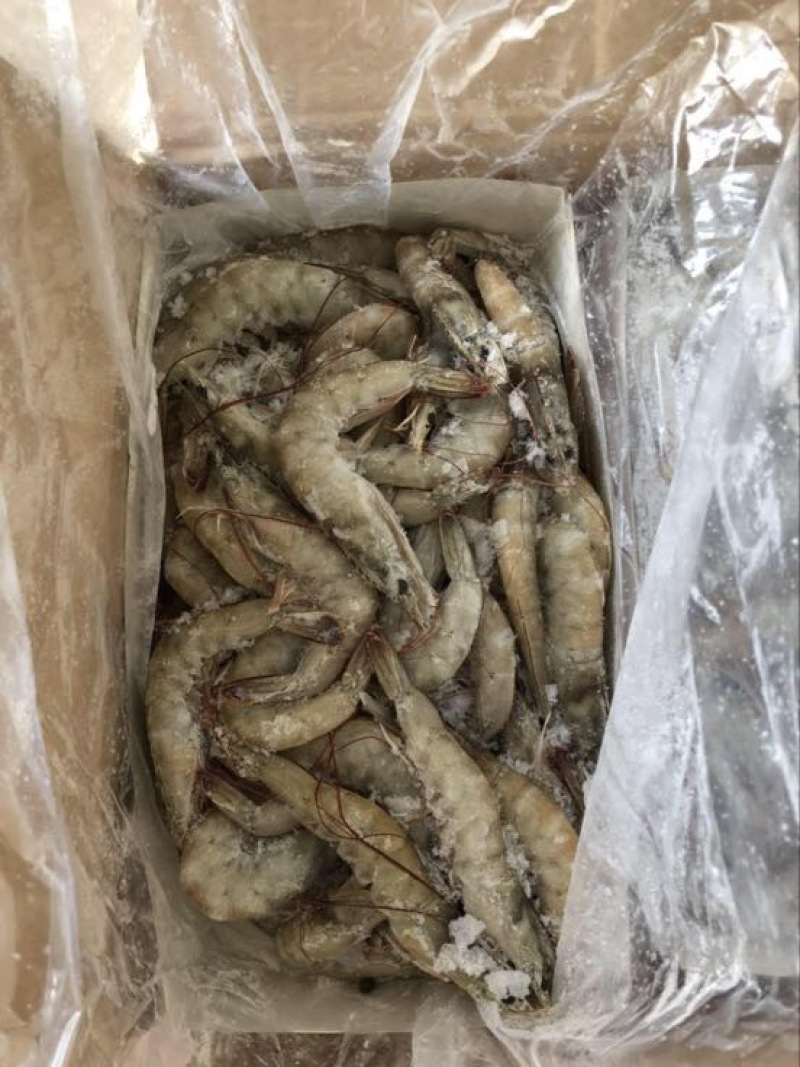 南美白对虾食用冻虾