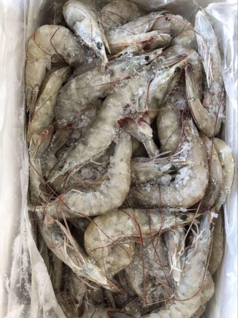 南美白对虾食用冻虾