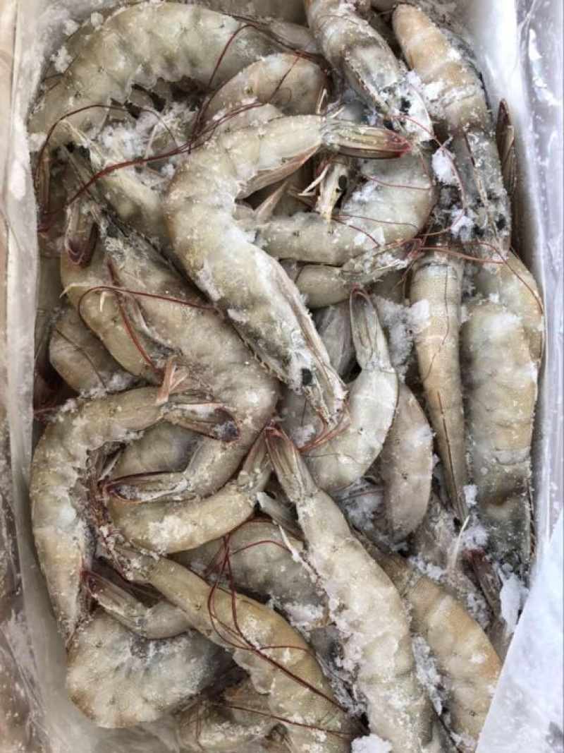 南美白对虾食用冻虾