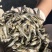 公仔鱼干蒸煮鱼干