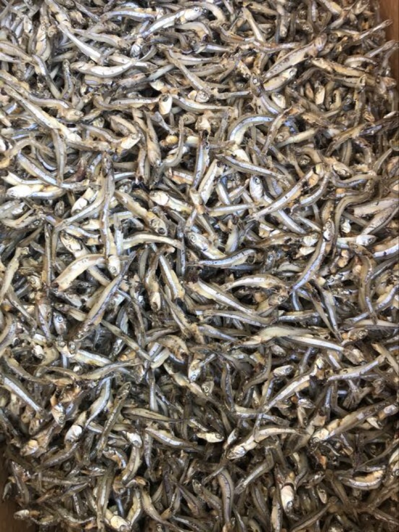公仔鱼干蒸煮鱼干
