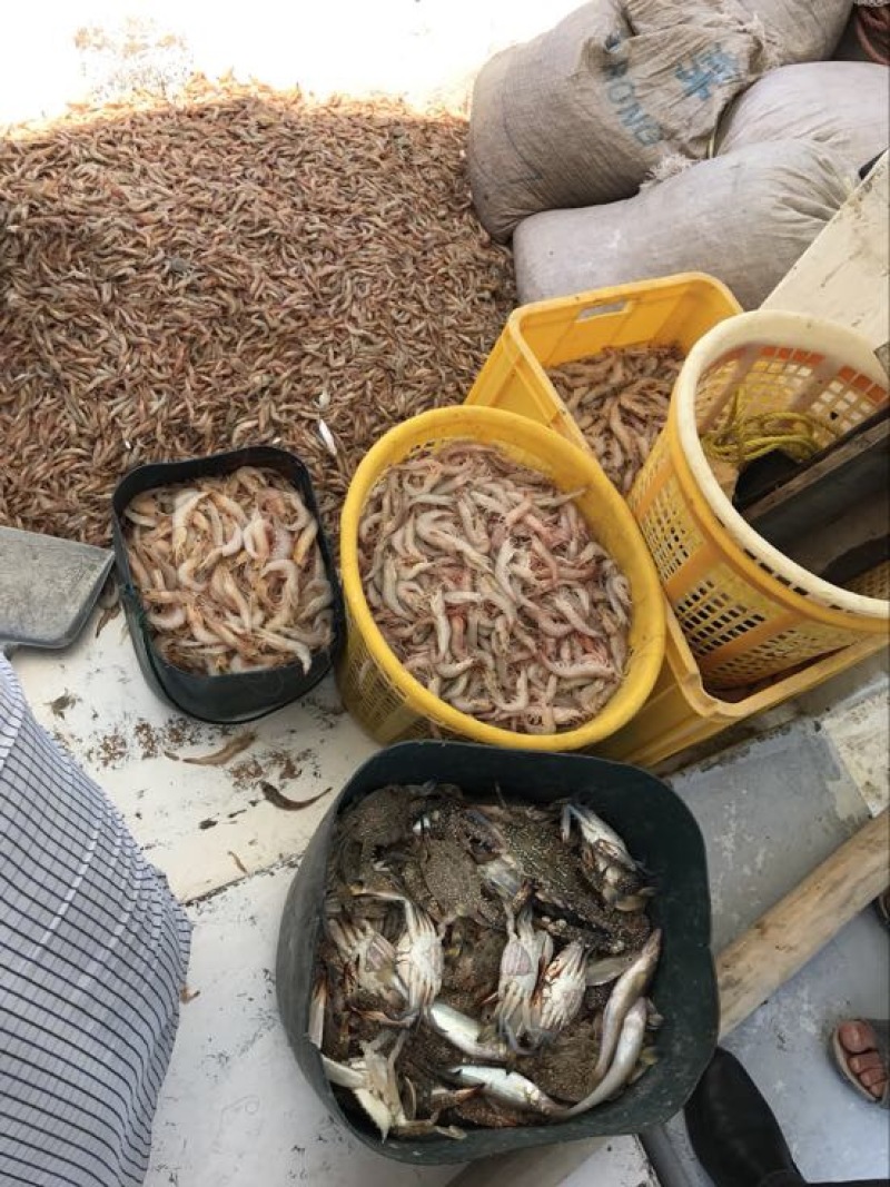 红虾干
