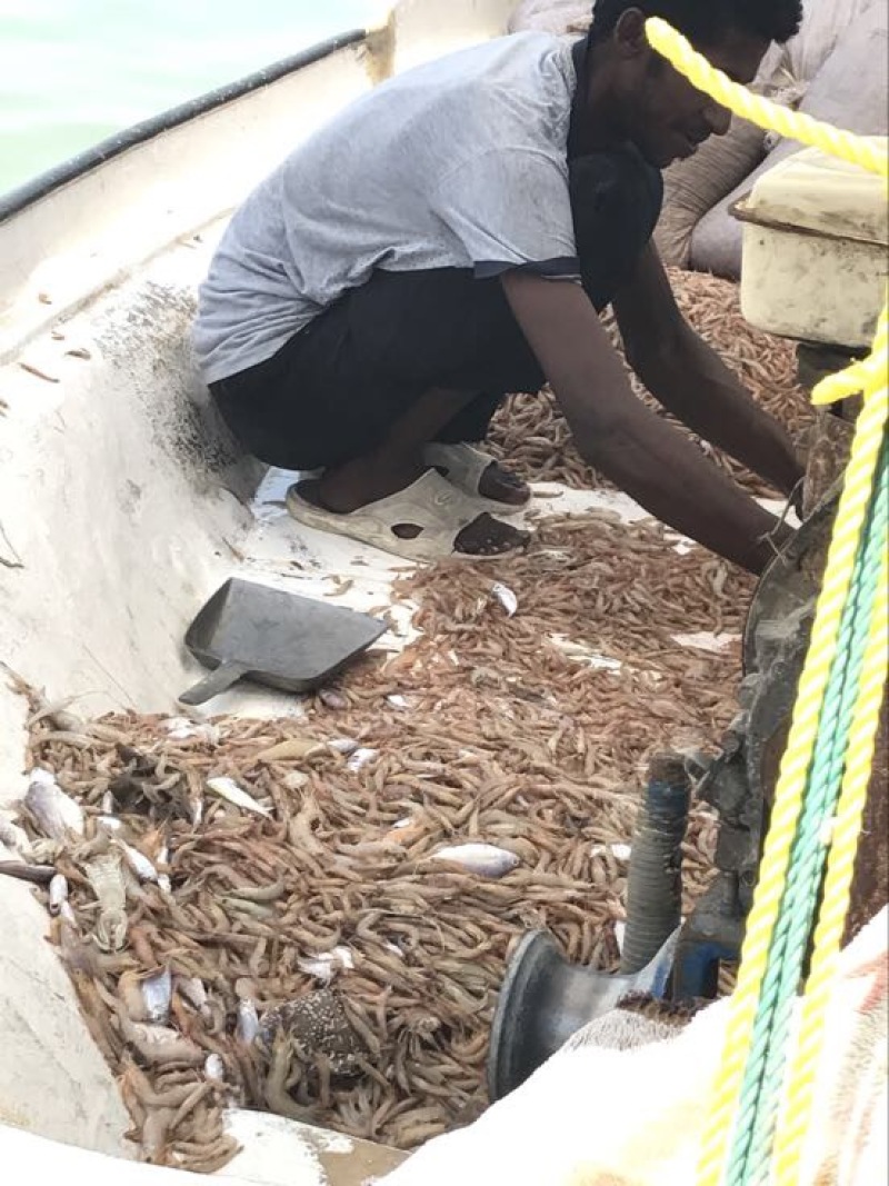 红虾干