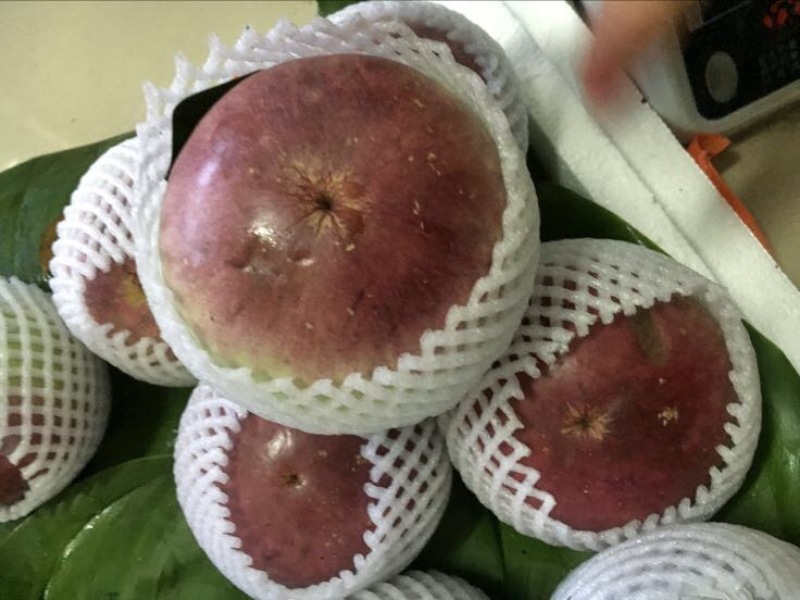 牛奶果6~8两一级果