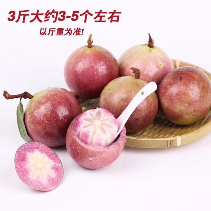 牛奶果6~8两一级果