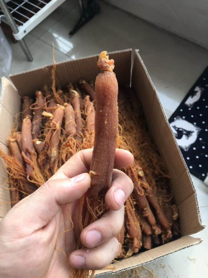 低糖红参条形好无硫磺圆通包邮吉林直发，一件代发