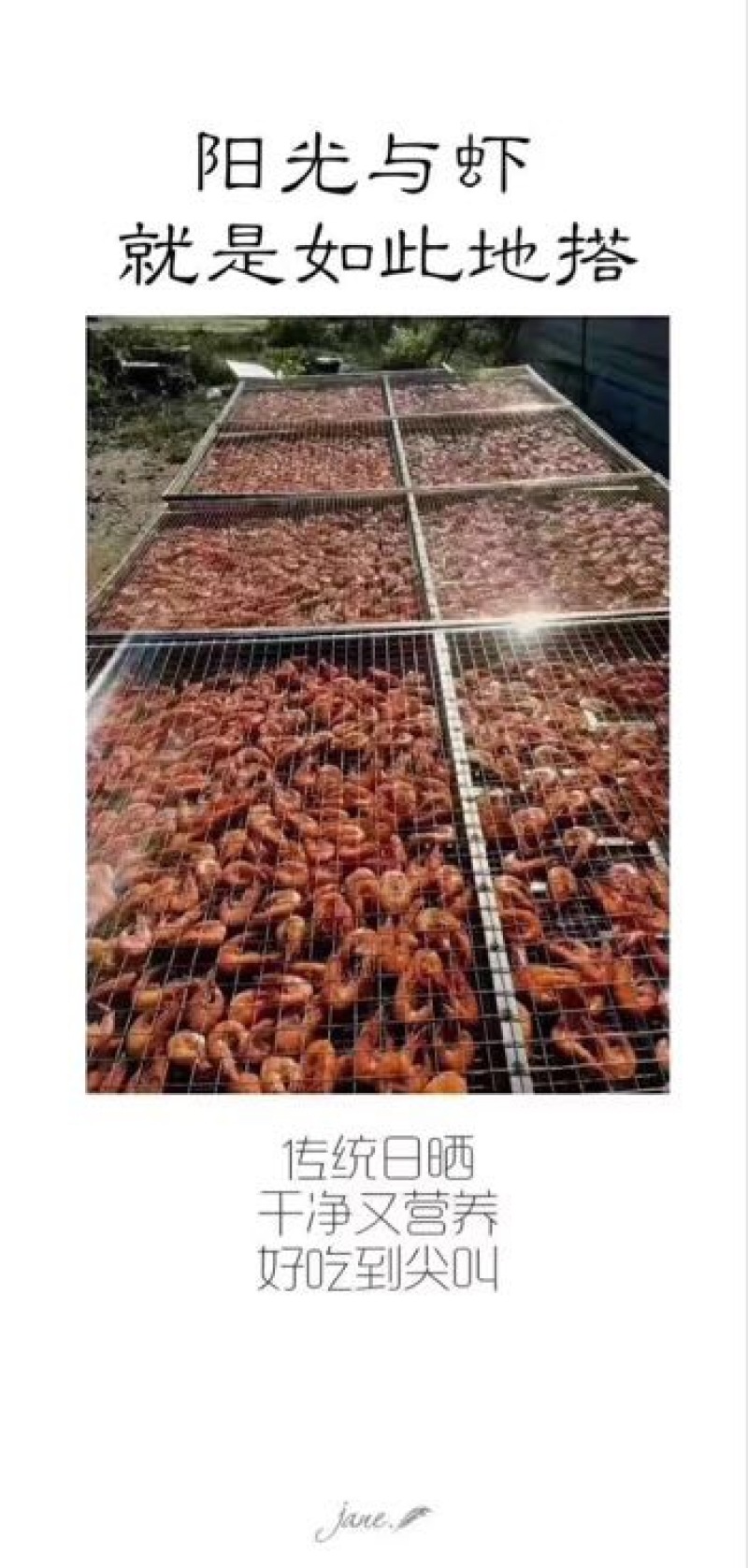 虾干二级