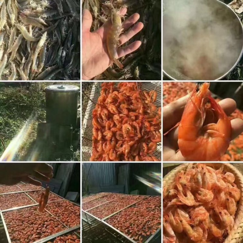 虾干二级